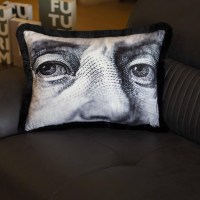 benjamin-franklin-cushion-ey277-01