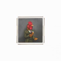 mr-treadfowl-plexiglass-tray-pt2101-25x25cm